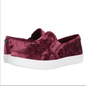 Brand New Steve Madden Velvet Sneakers